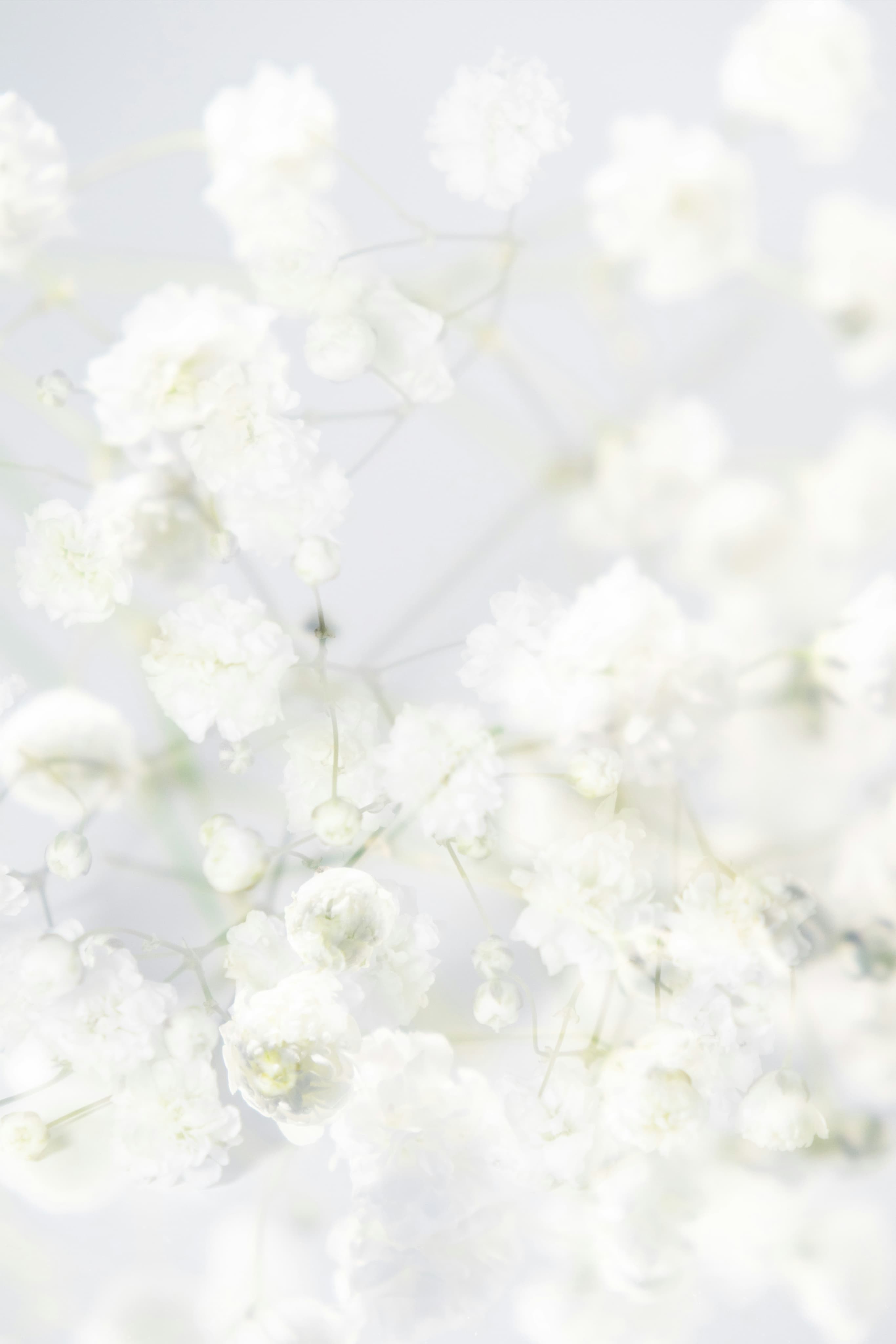 Festivals & Awards bg