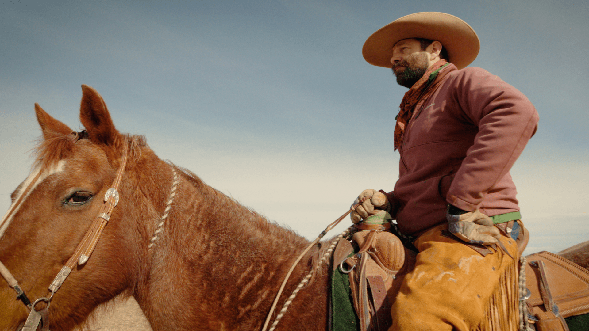 2023 - Burnout and Climate Change